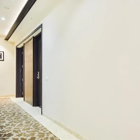 Palette - Solitaire Grand 3*